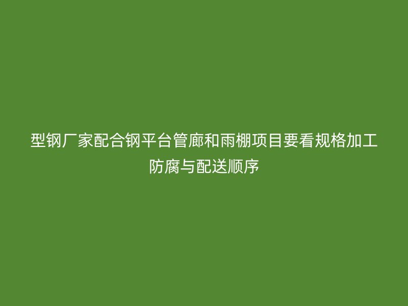 型鋼廠家配合鋼平臺管廊和雨棚項目要看規格加工防腐與配送順序