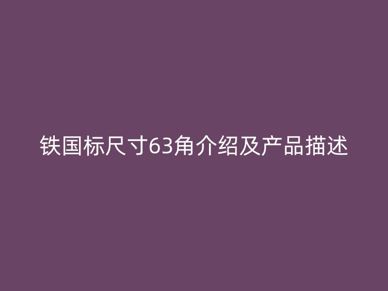 鐵國(guó)標(biāo)尺寸63角介紹及產(chǎn)品描述